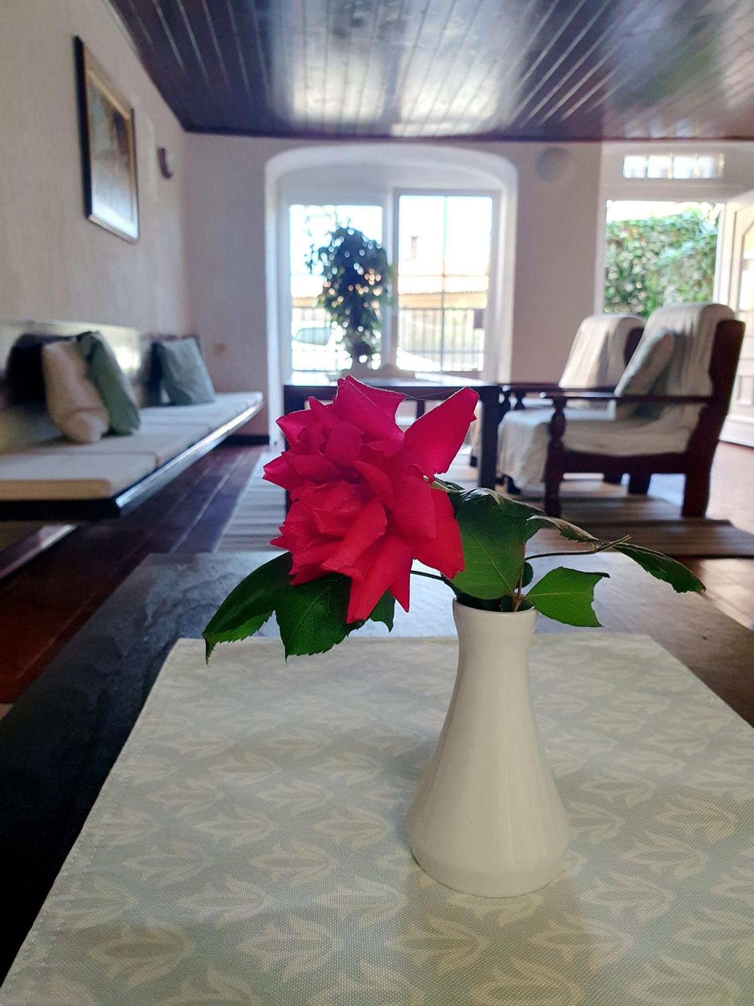 Holiday Home Dunja أوباتيا المظهر الخارجي الصورة
